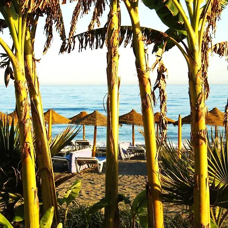 Estudios 79 Torrox